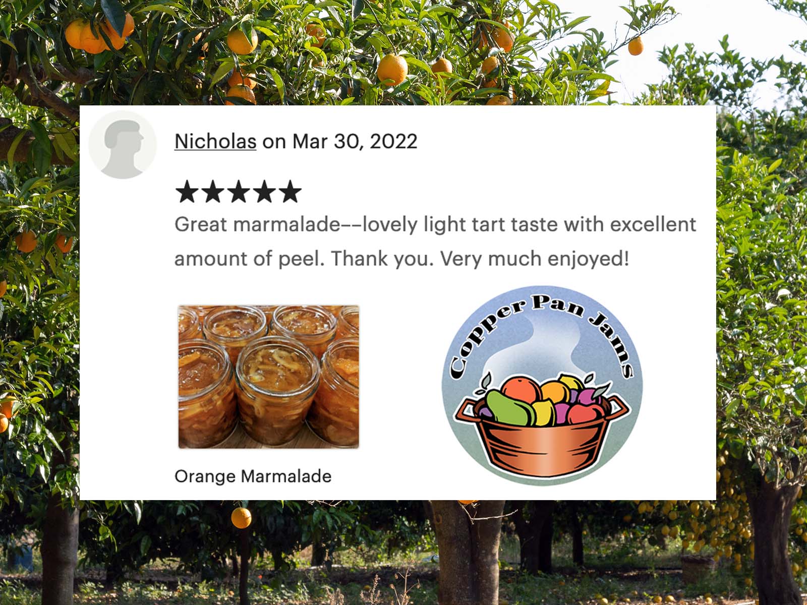 Review of Orange Marmalade by Nicholas